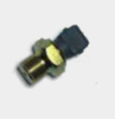 تصویر از فشنگی روغن 405 - خورشید