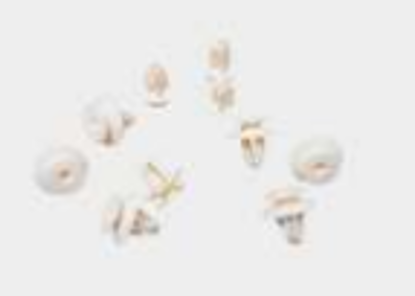 تصویر از خار رودری سمند - خورشید