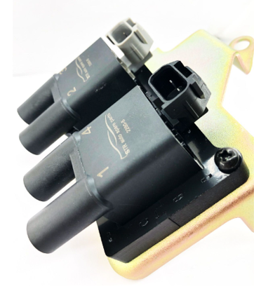 تصویر از کوئل زیمنسی ( دو قلو سوزن دار ) AMT