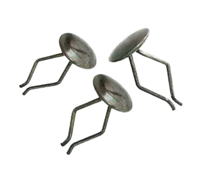 تصویر از خار شلگیر 405 - سوسکی آهنی - خورشید