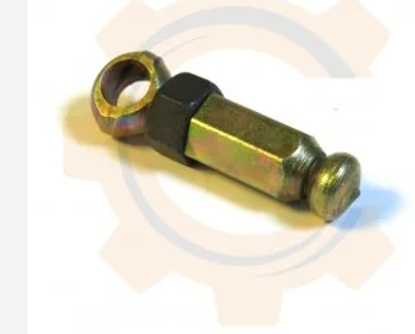 تصویر از شش کلاچ آردی - فال