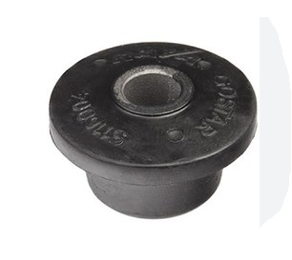 تصویر از بوش طبق پیکان - فال